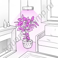 Лампа светодиодная для растений "Альтерф" 30 Вт с цоколем (Е14/Е27/Е40/(аналог китайской фито лампы мощностью 54W)