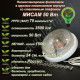 50Вт "Мисам" Полноспектровая фитолампа в круглом пластиковом корпусе со стеклянным плафоном 50Вт "Мисам" Полноспектровая фитолампа в круглом пластиковом корпусе со стеклянным плафоном